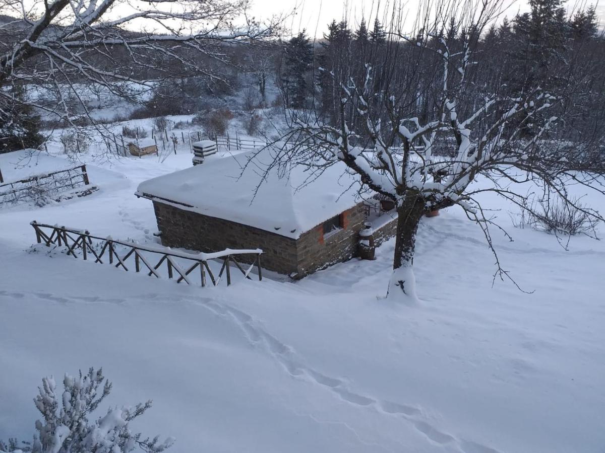 Casina Della Burraia Villa Subbiano Екстериор снимка